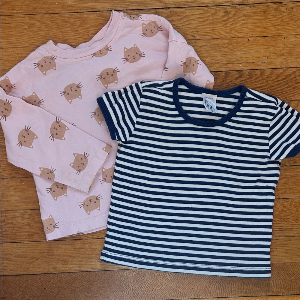 Bundle of two Hanna Andersson tops